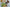 Test Item